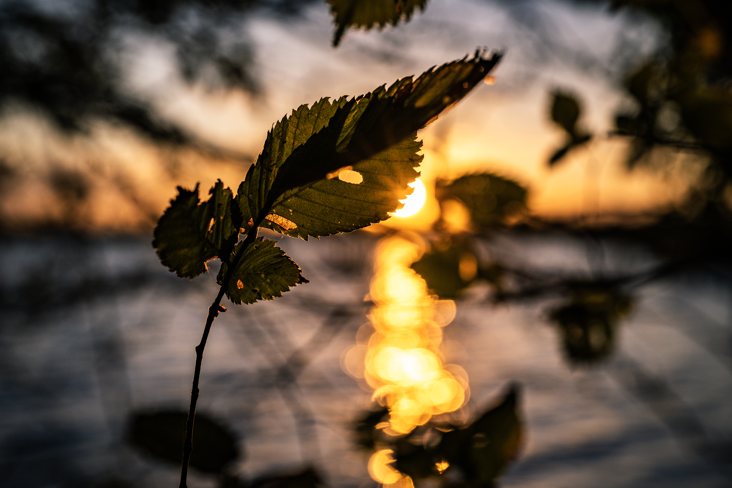 landschaftsfotografie fotografie nuthe-urstromtal Sonnenuntergang Blankensee Spaetsommer