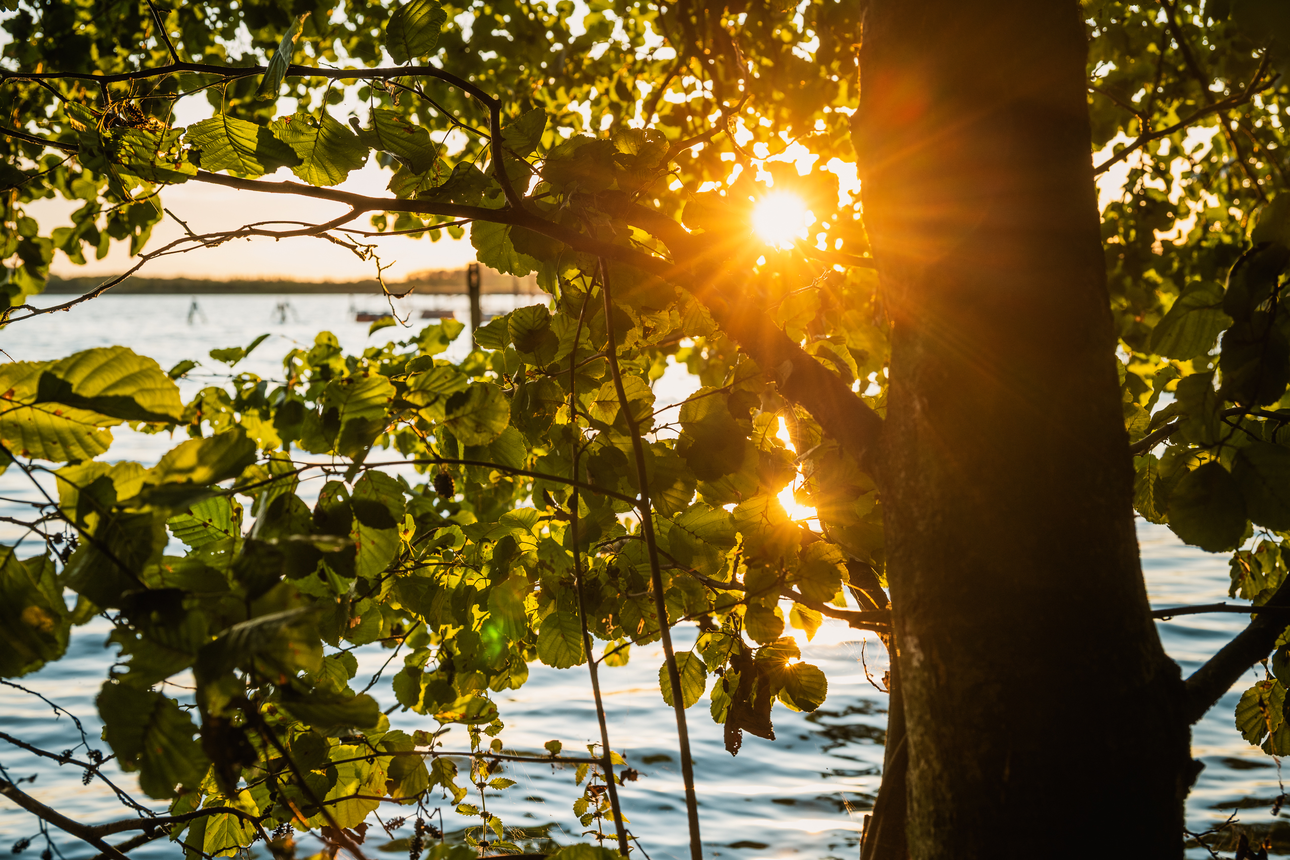 landschaftsfotografie fotografie nuthe-urstromtal Sonnenuntergang Blankensee Spaetsommer