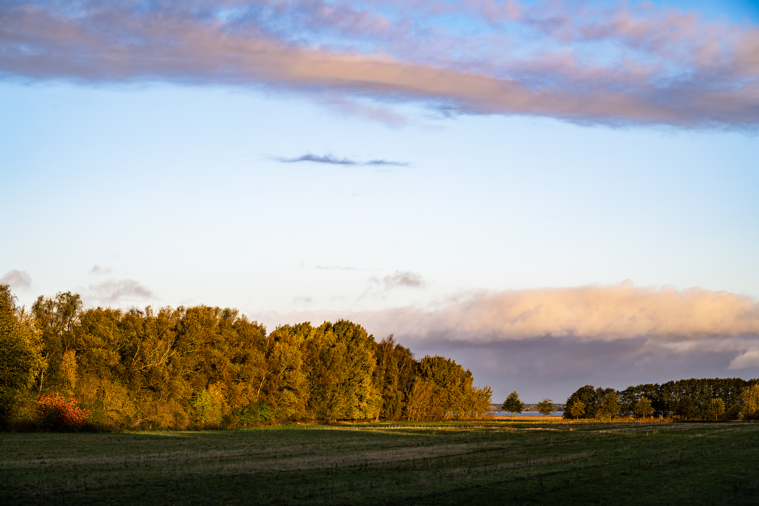 landschaftsfotografie fotografie nuthe-urstromtal Herbst bodstedt bodden
