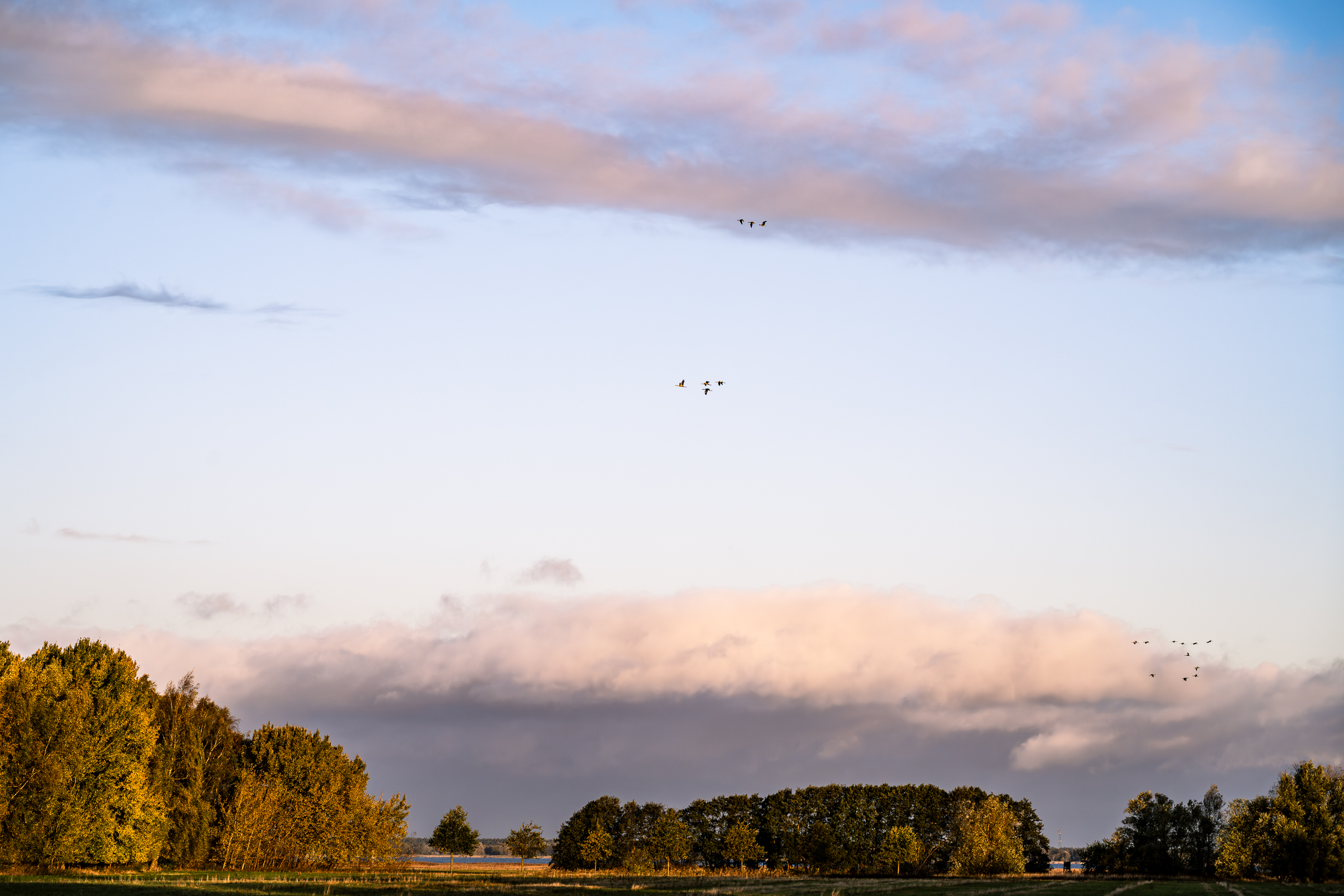 landschaftsfotografie fotografie nuthe-urstromtal Herbst bodstedt bodden
