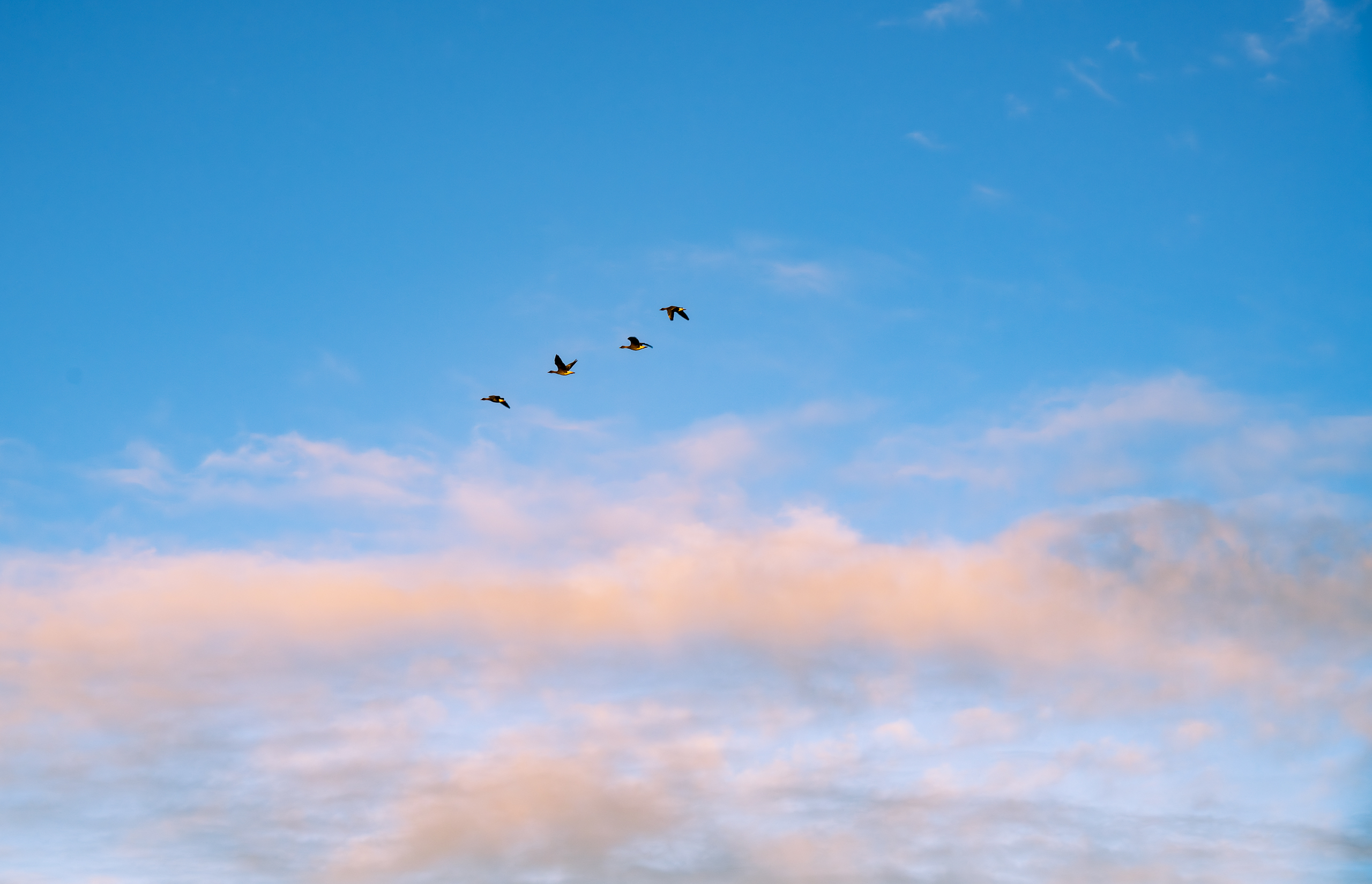 landschaftsfotografie fotografie nuthe-urstromtal Herbst bodstedt bodden
