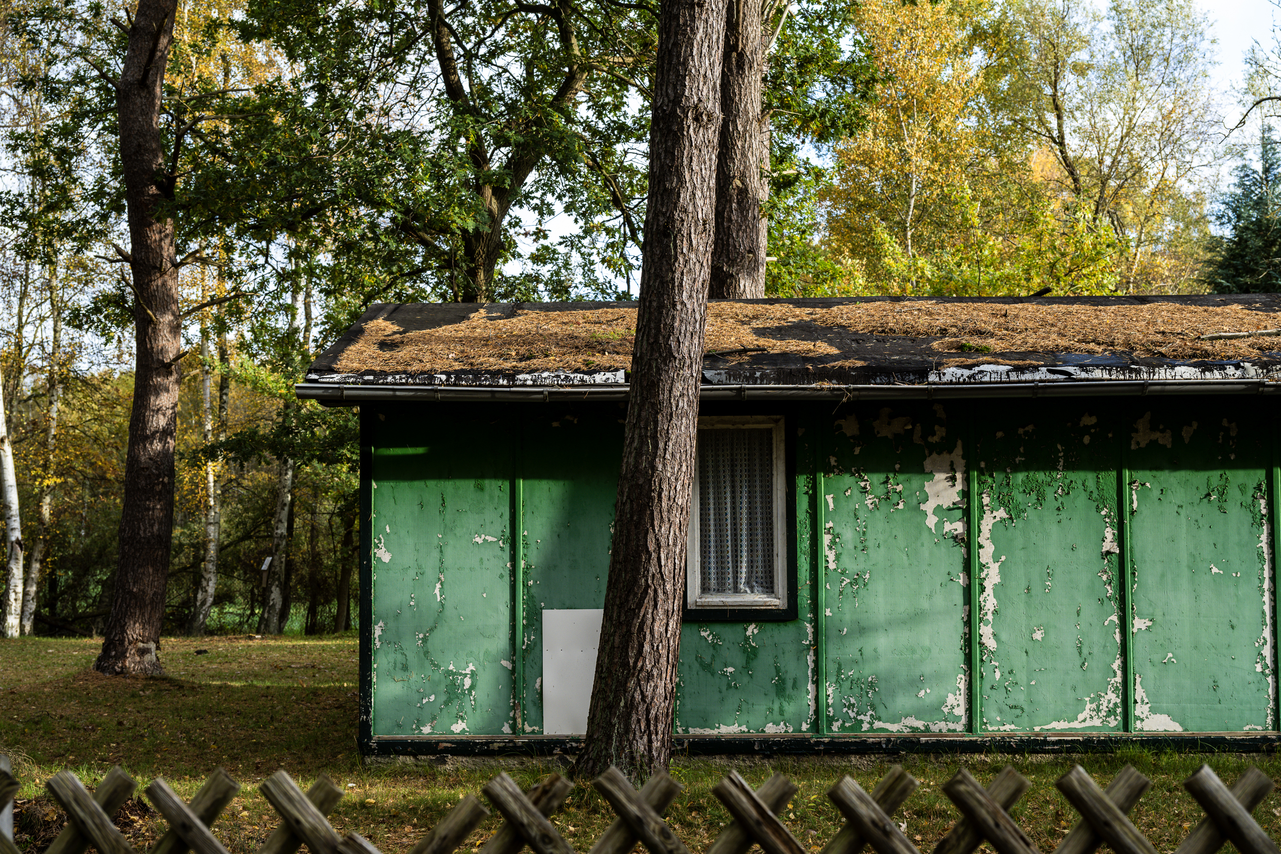 landschaftsfotografie fotografie nuthe-urstromtal Herbst bodstedt bodden