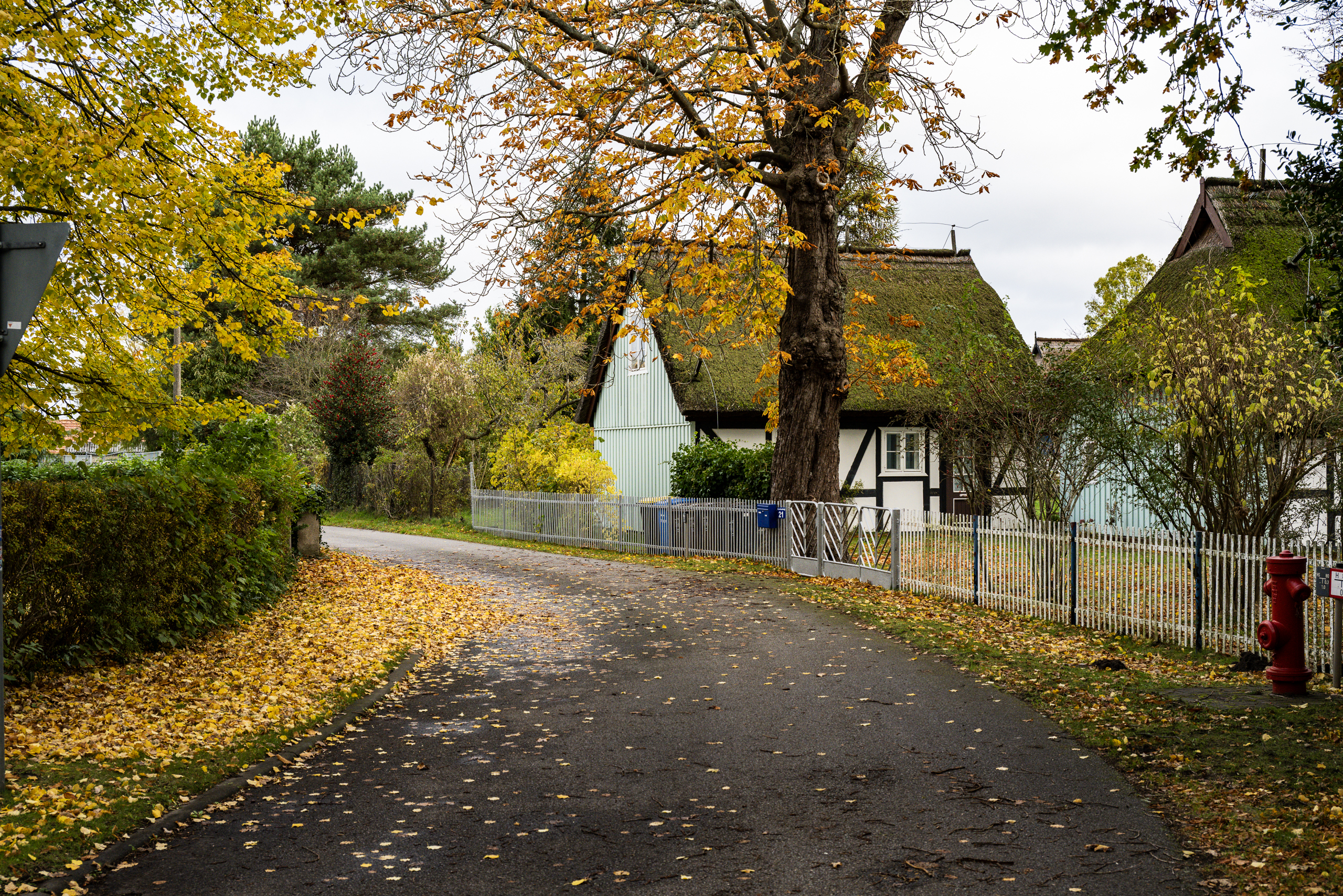landschaftsfotografie fotografie nuthe-urstromtal Herbst bodstedt bodden