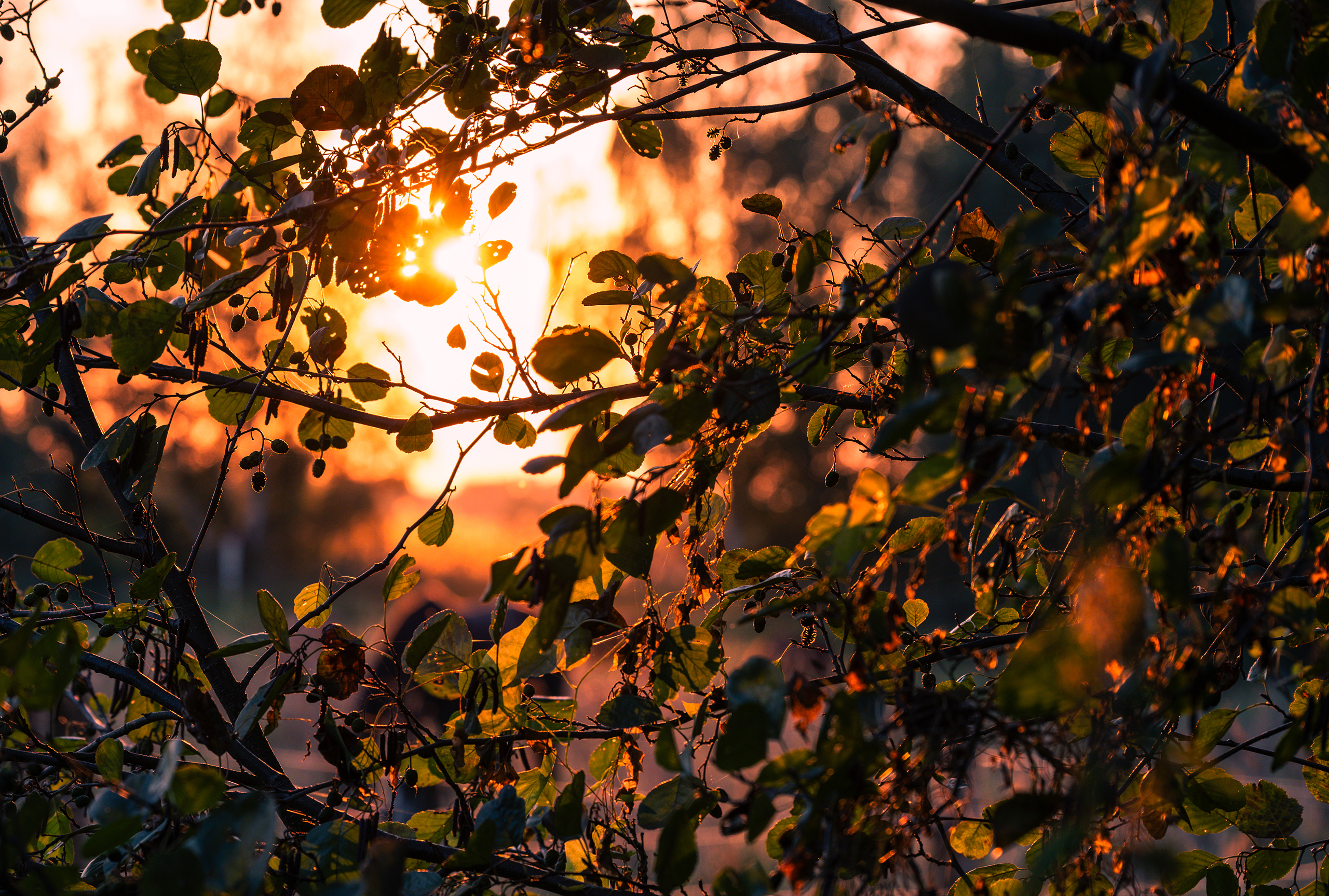 landschaftsfotografie fotografie nuthe-urstromtal naturidylle stangenhagen