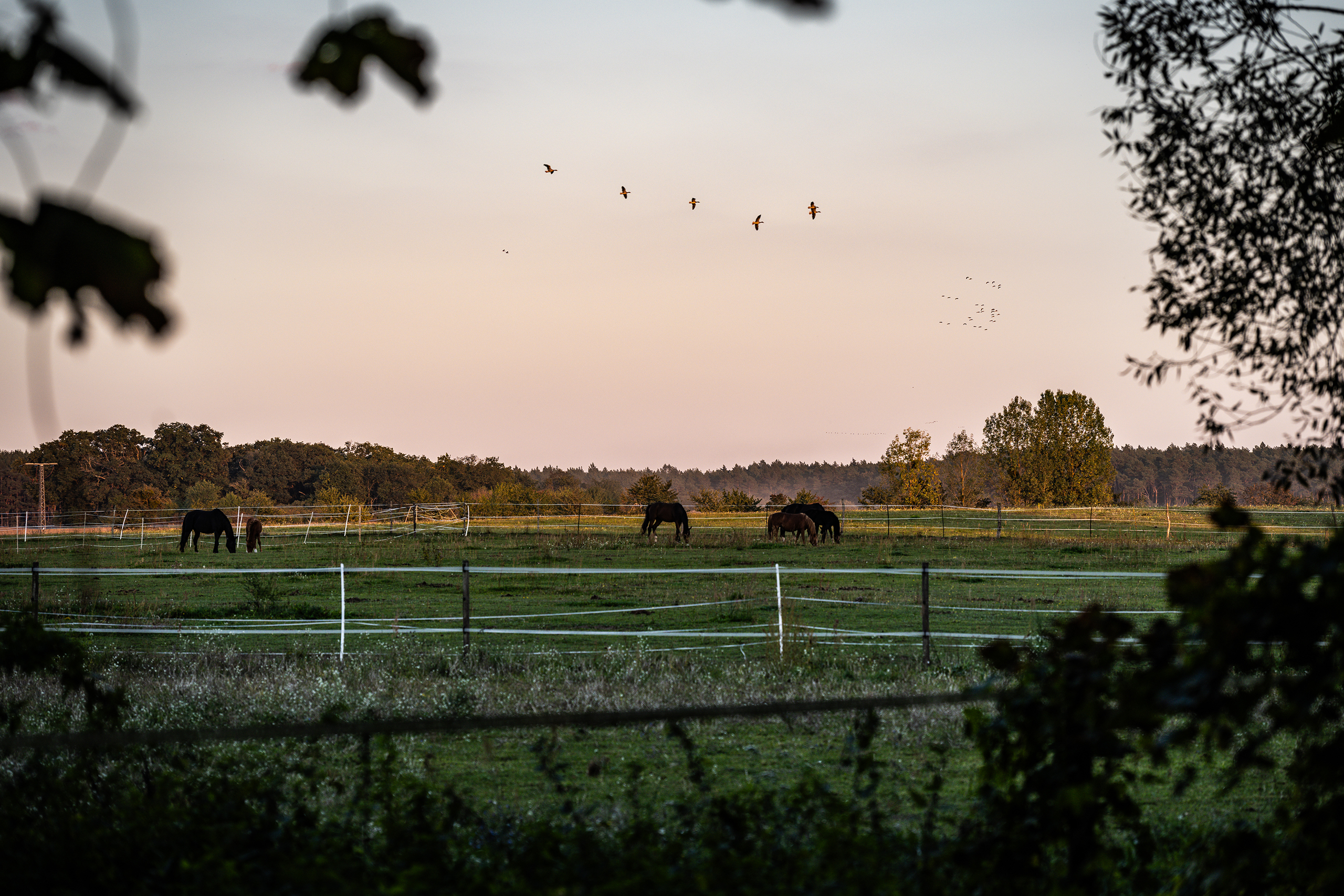 landschaftsfotografie fotografie nuthe-urstromtal naturidylle stangenhagen