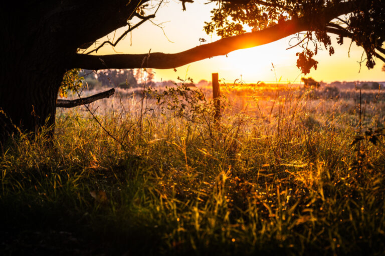 landschaftsfotografie fotografie nuthe-urstromtal naturidylle stangenhagen