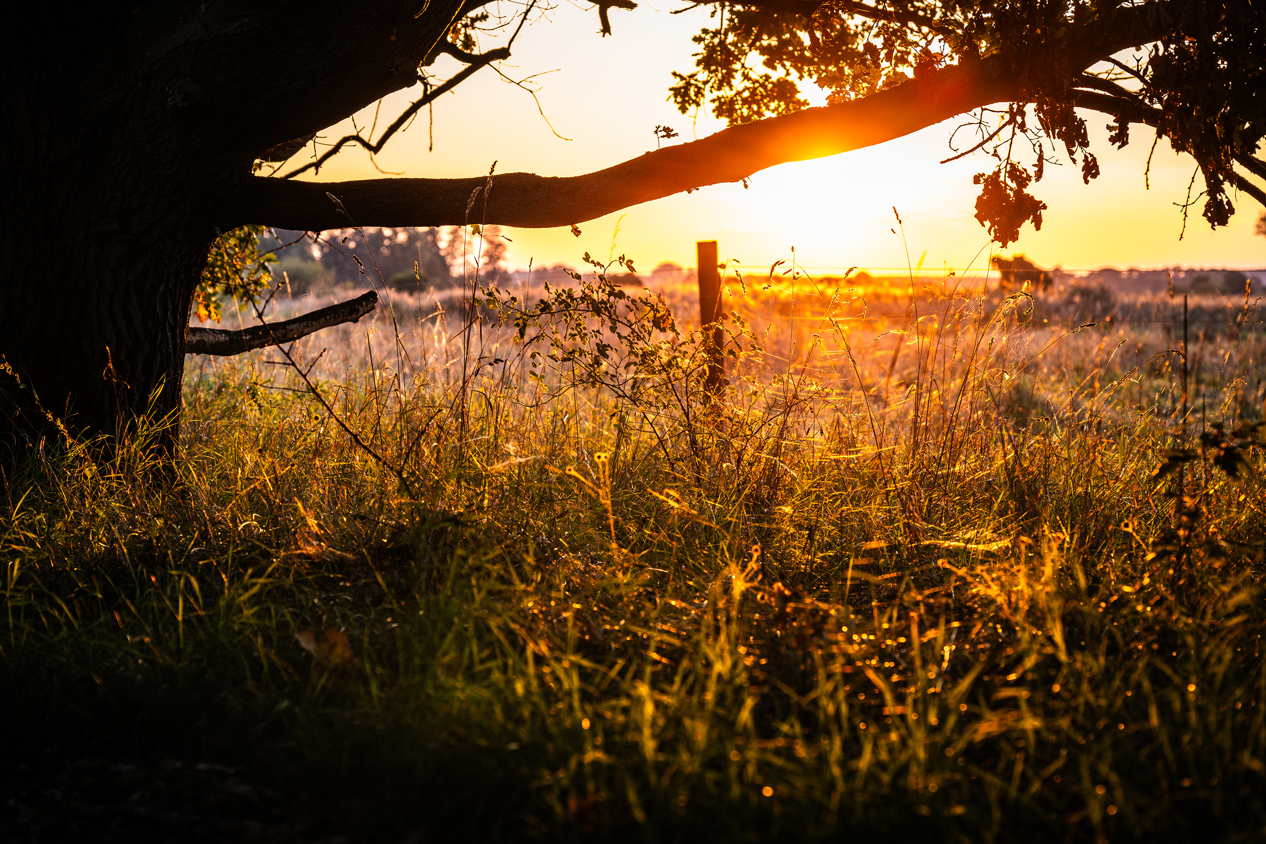 landschaftsfotografie fotografie nuthe-urstromtal naturidylle stangenhagen