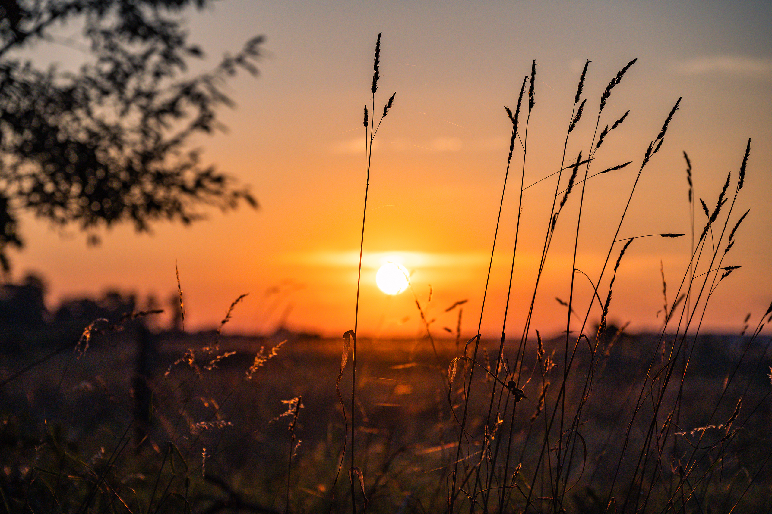 landschaftsfotografie fotografie nuthe-urstromtal naturidylle stangenhagen
