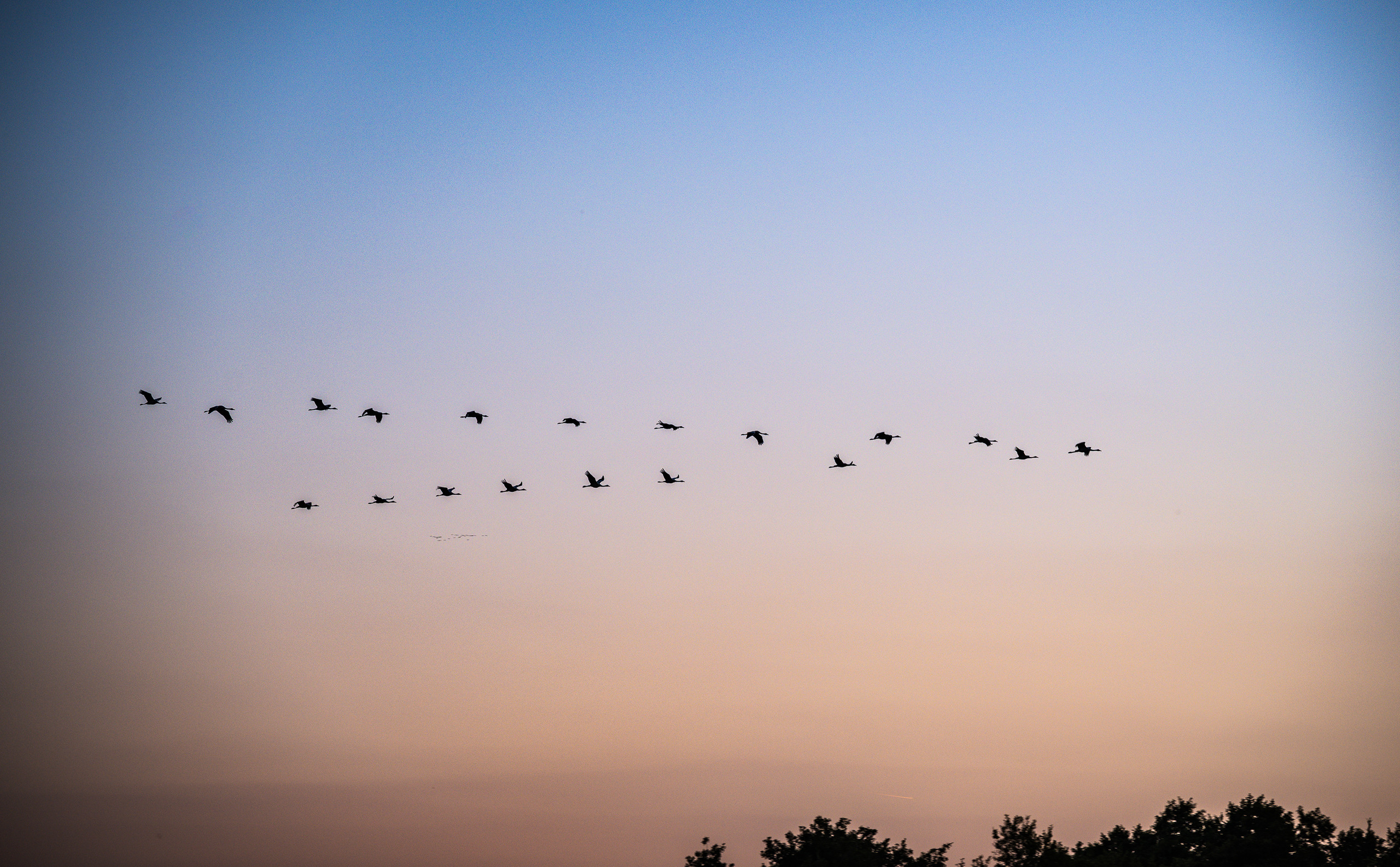 landschaftsfotografie fotografie nuthe-urstromtal naturidylle stangenhagen