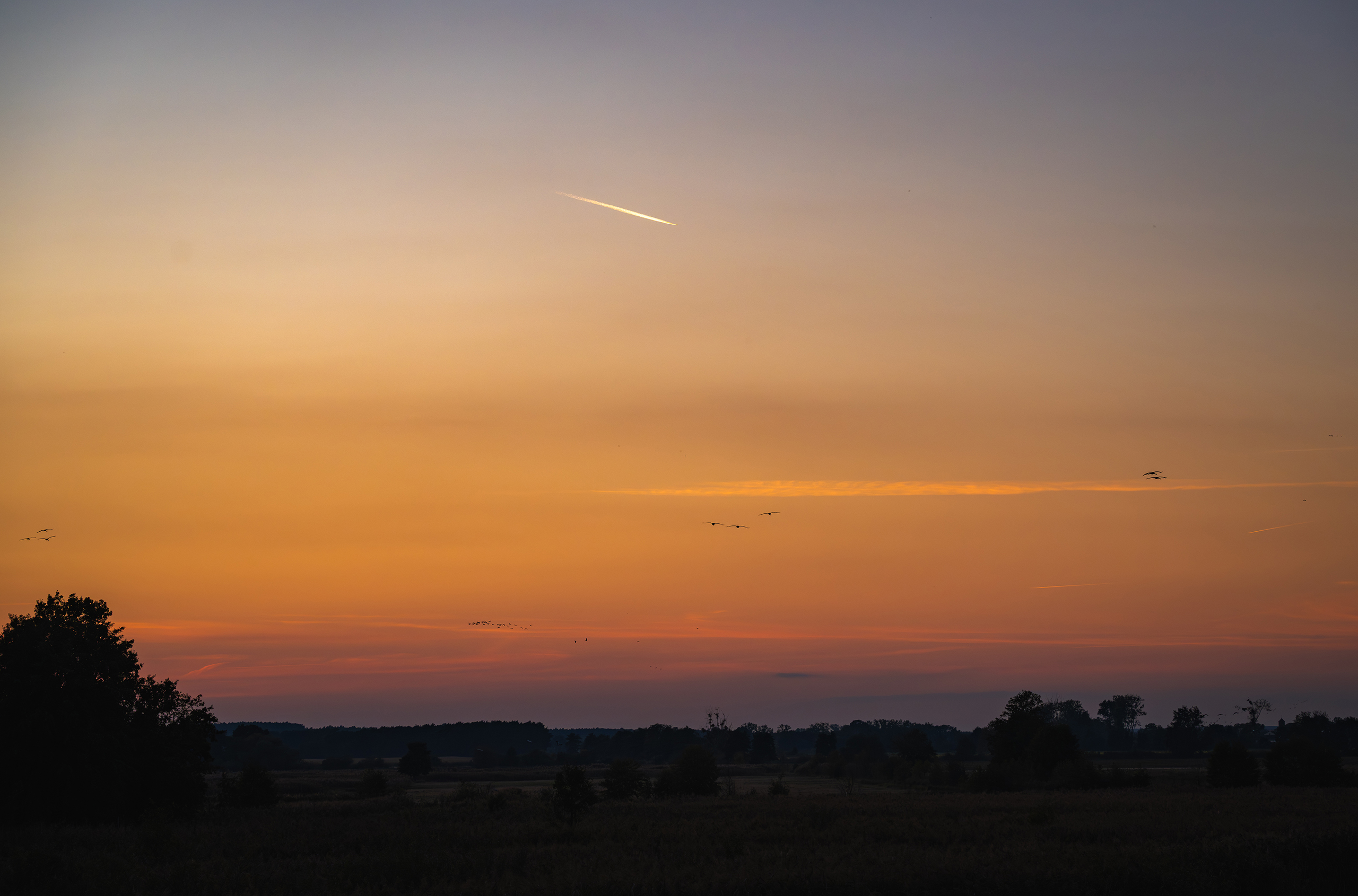 landschaftsfotografie fotografie nuthe-urstromtal naturidylle stangenhagen