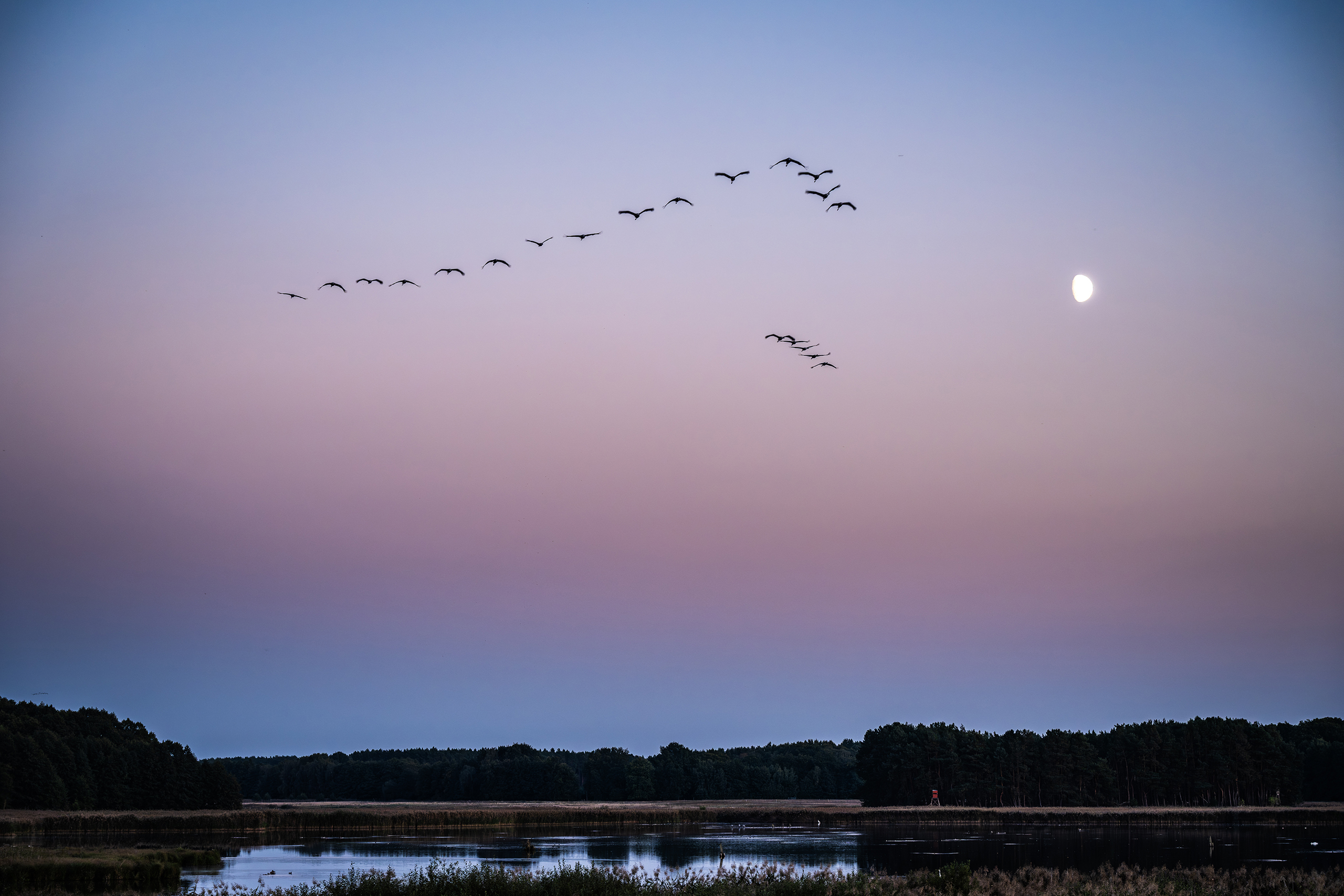 landschaftsfotografie fotografie nuthe-urstromtal naturidylle stangenhagen
