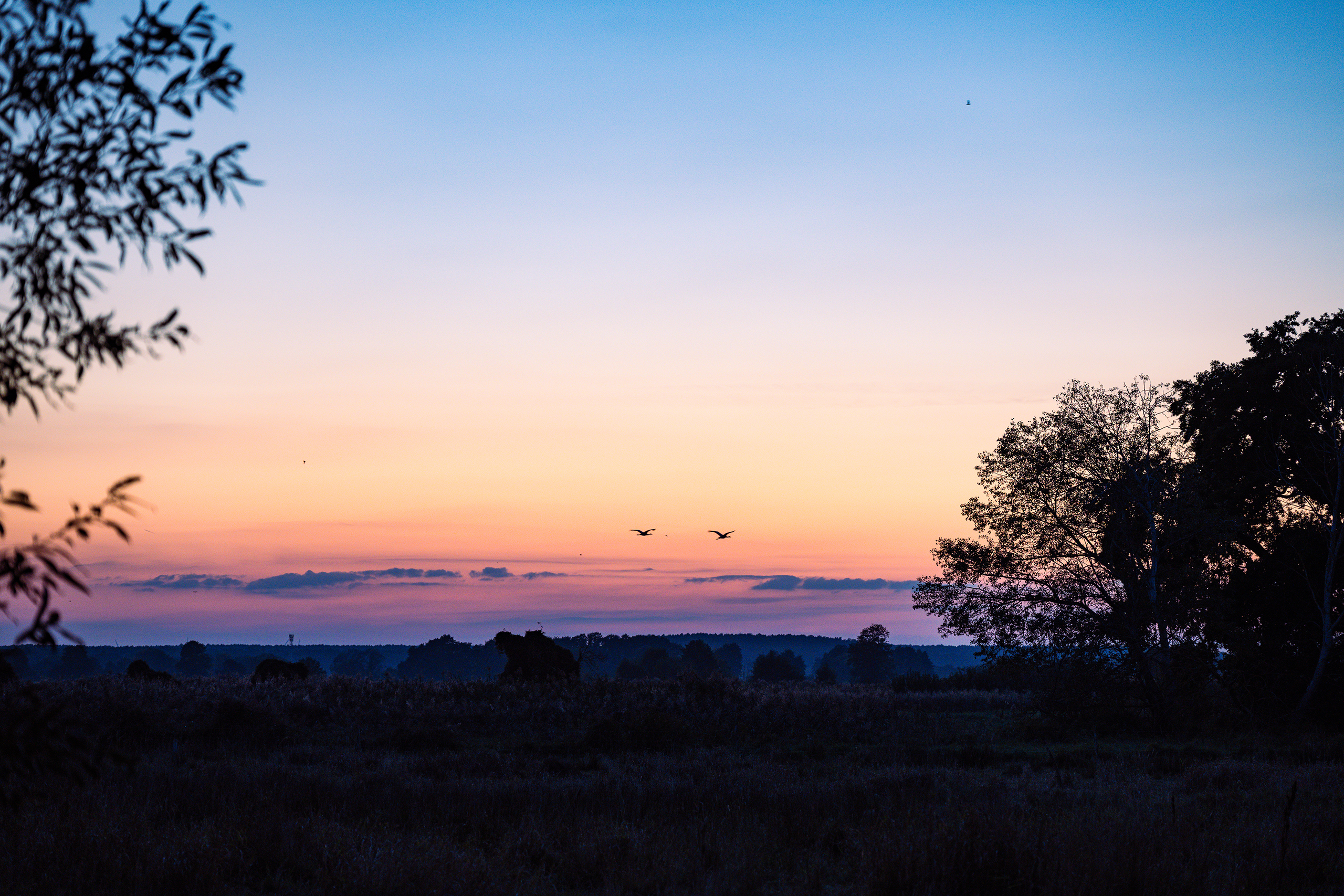 landschaftsfotografie fotografie nuthe-urstromtal naturidylle stangenhagen