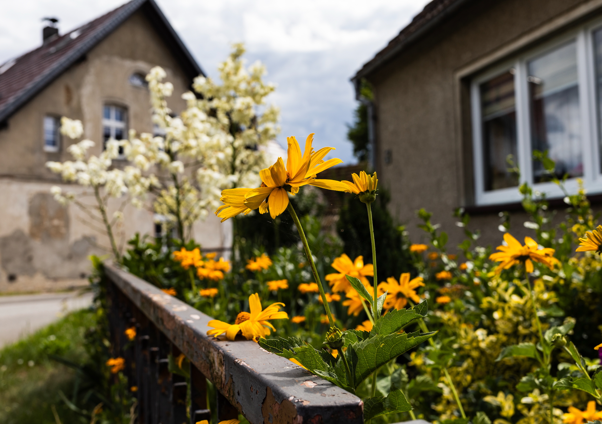 landschaftsfotografie nuthe-urstromtal tom geissler