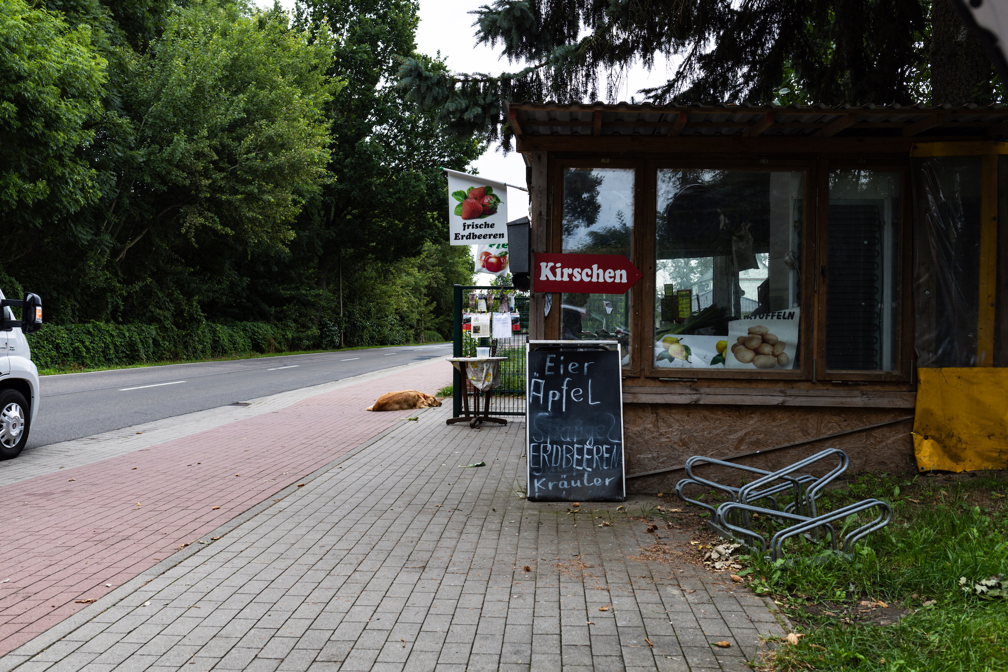 landschaftsfotografie nuthe-urstromtal tom geissler