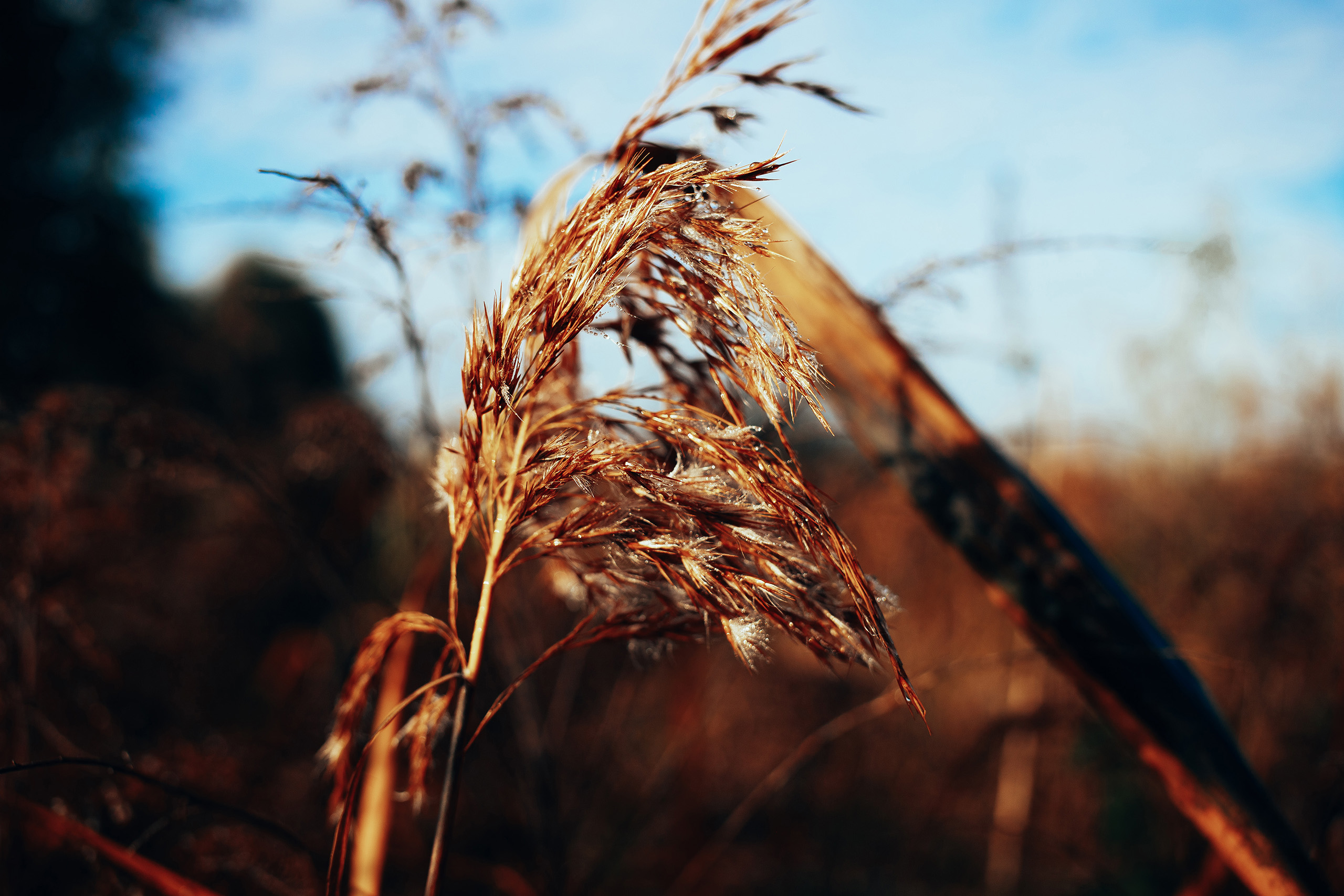 landschaftsfotografie nuthe-urstromtal tom geissler