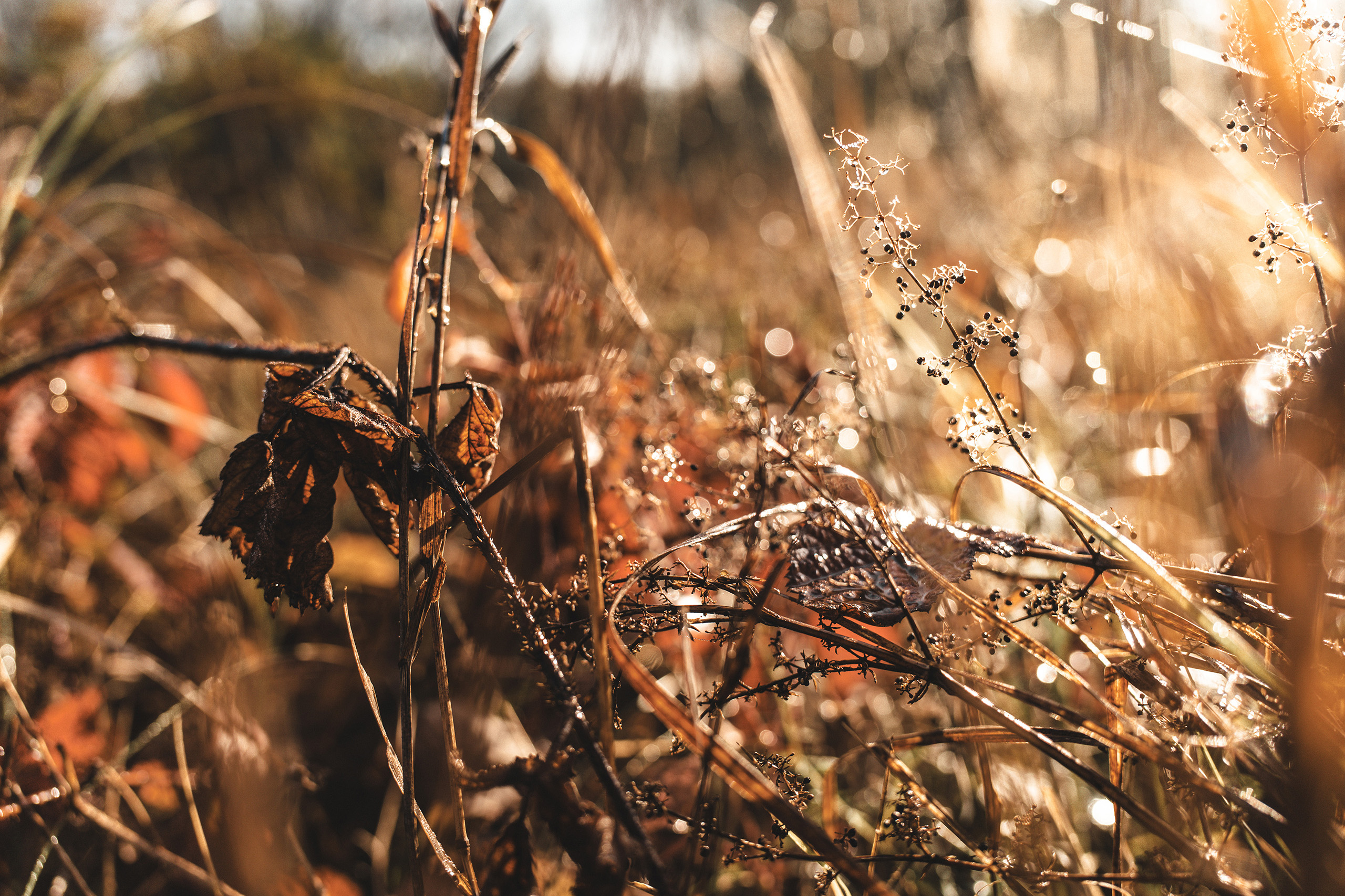 landschaftsfotografie nuthe-urstromtal tom geissler