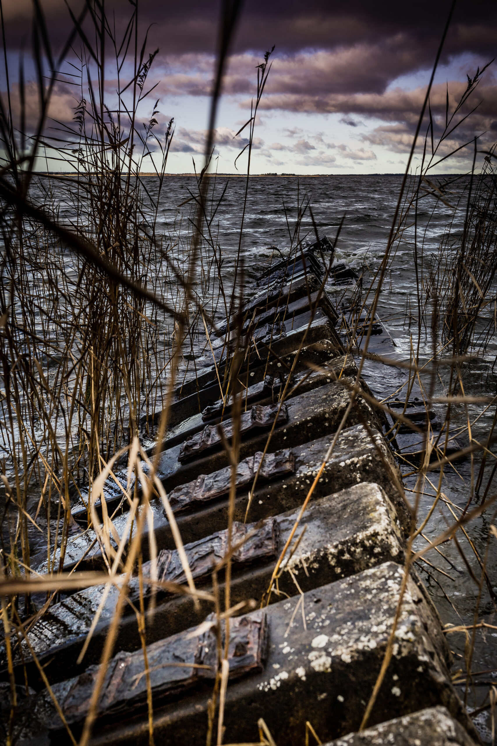 landschaftsfotografie nuthe-urstromtal tom geissler