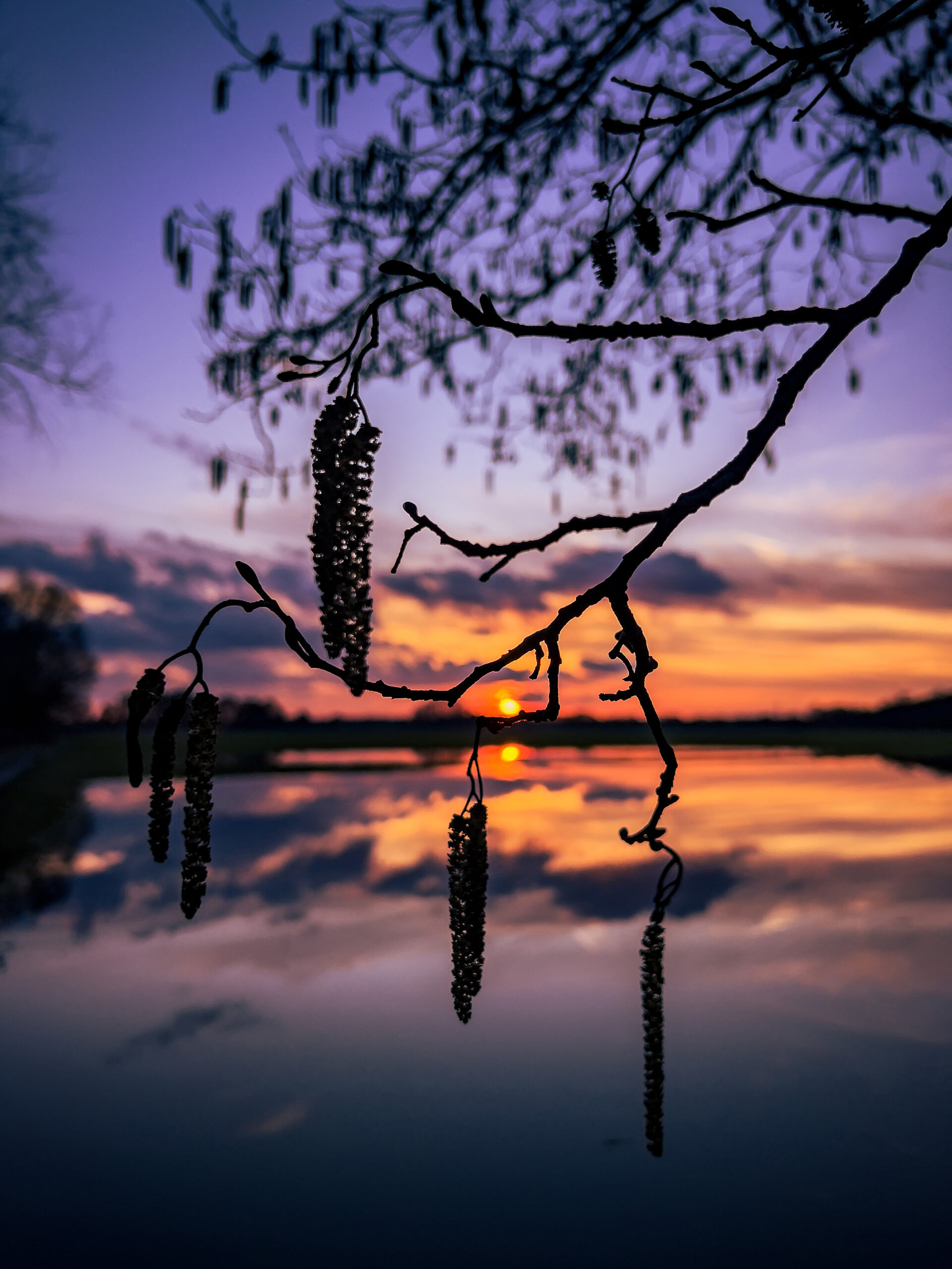landschaftsfotografie nuthe-urstromtal tom geissler