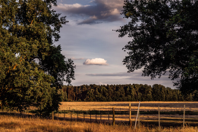 landschaftsfotografie nuthe-urstromtal tom geissler