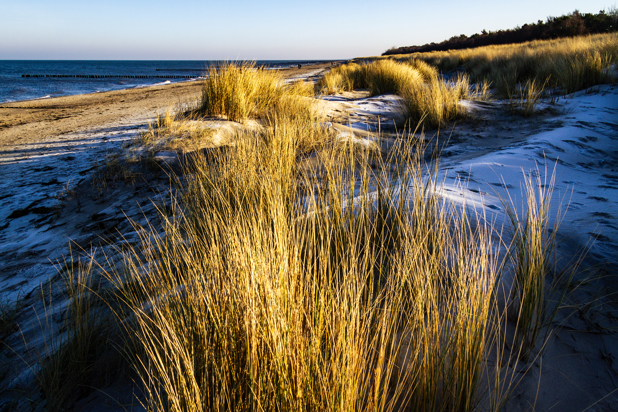 landschaftsfotografie nuthe-urstromtal tom geissler