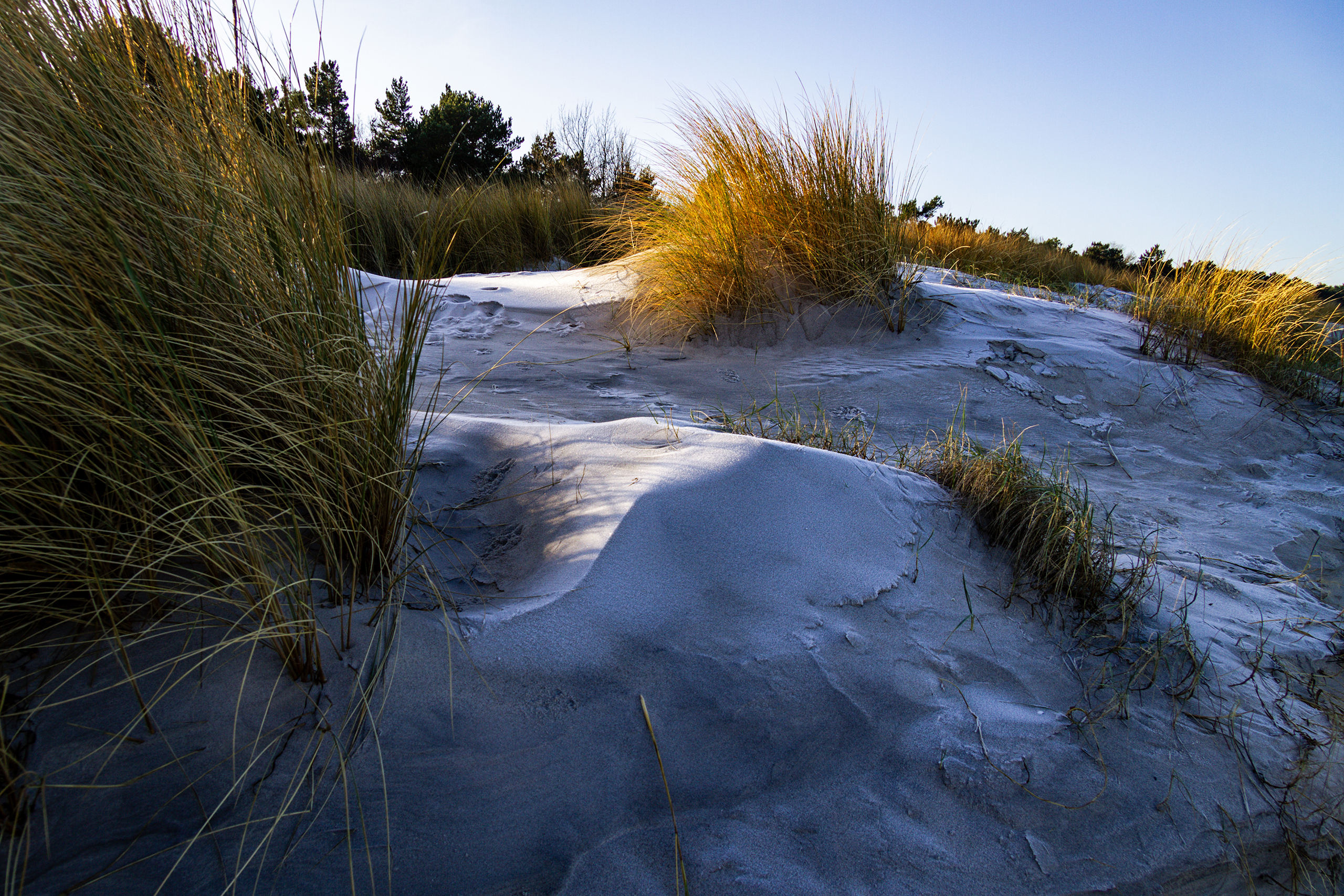landschaftsfotografie nuthe-urstromtal tom geissler