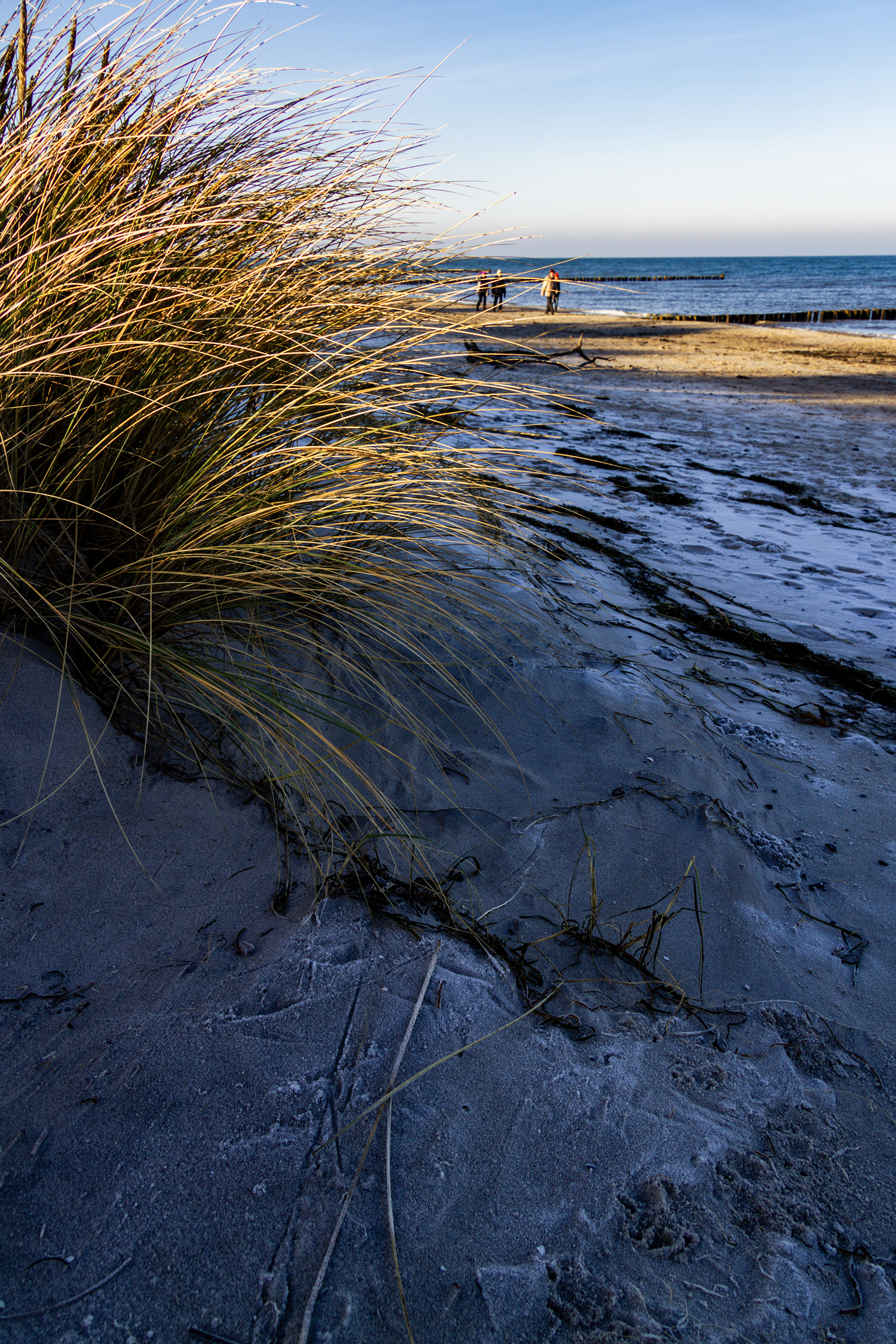 landschaftsfotografie nuthe-urstromtal tom geissler