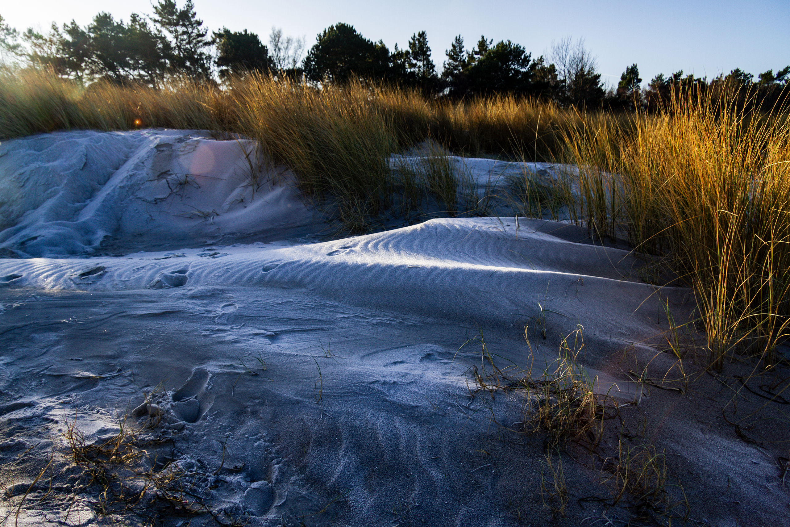 landschaftsfotografie nuthe-urstromtal tom geissler
