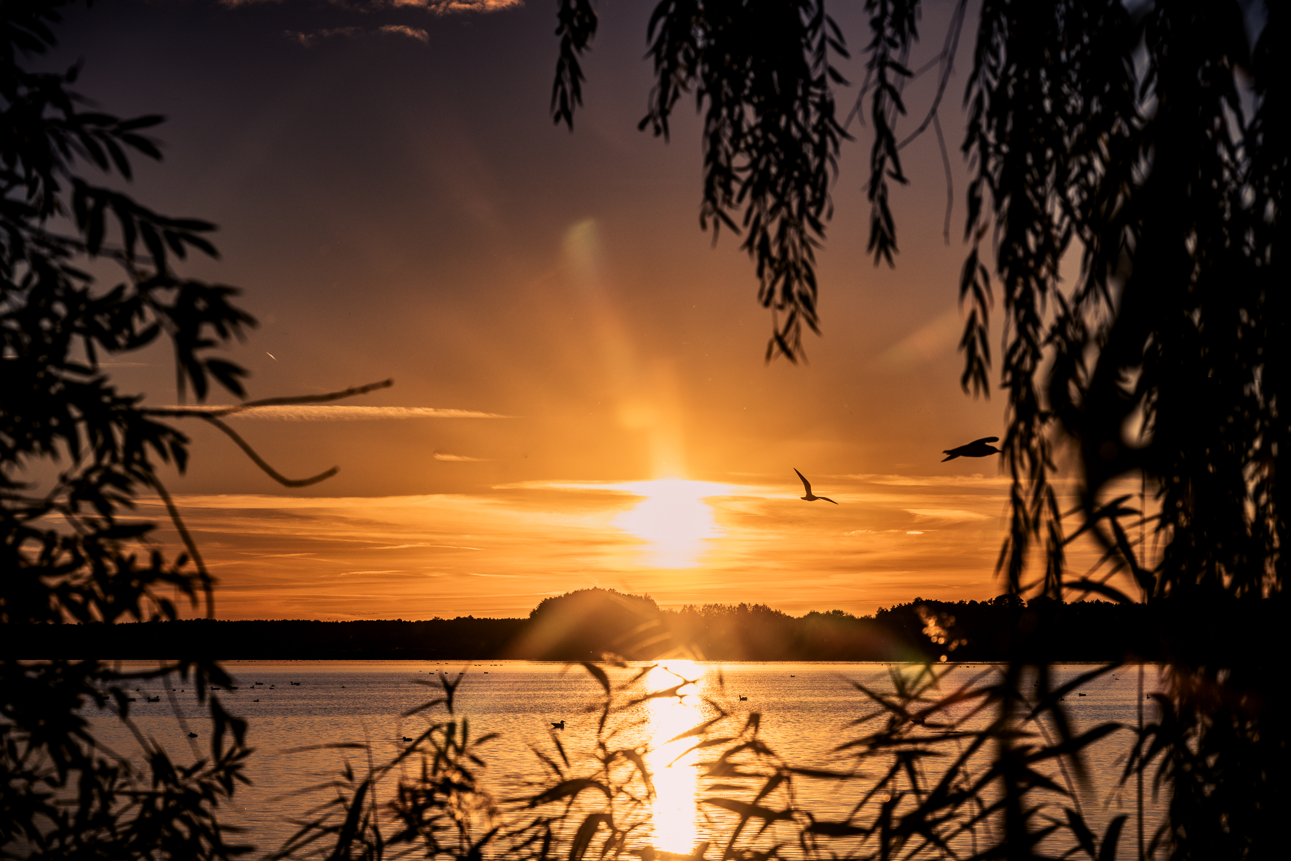 Sonnenuntergang in Blankensee