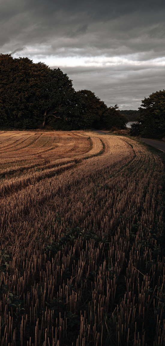 landschaftsfotografie nuthe-urstromtal tom geissler