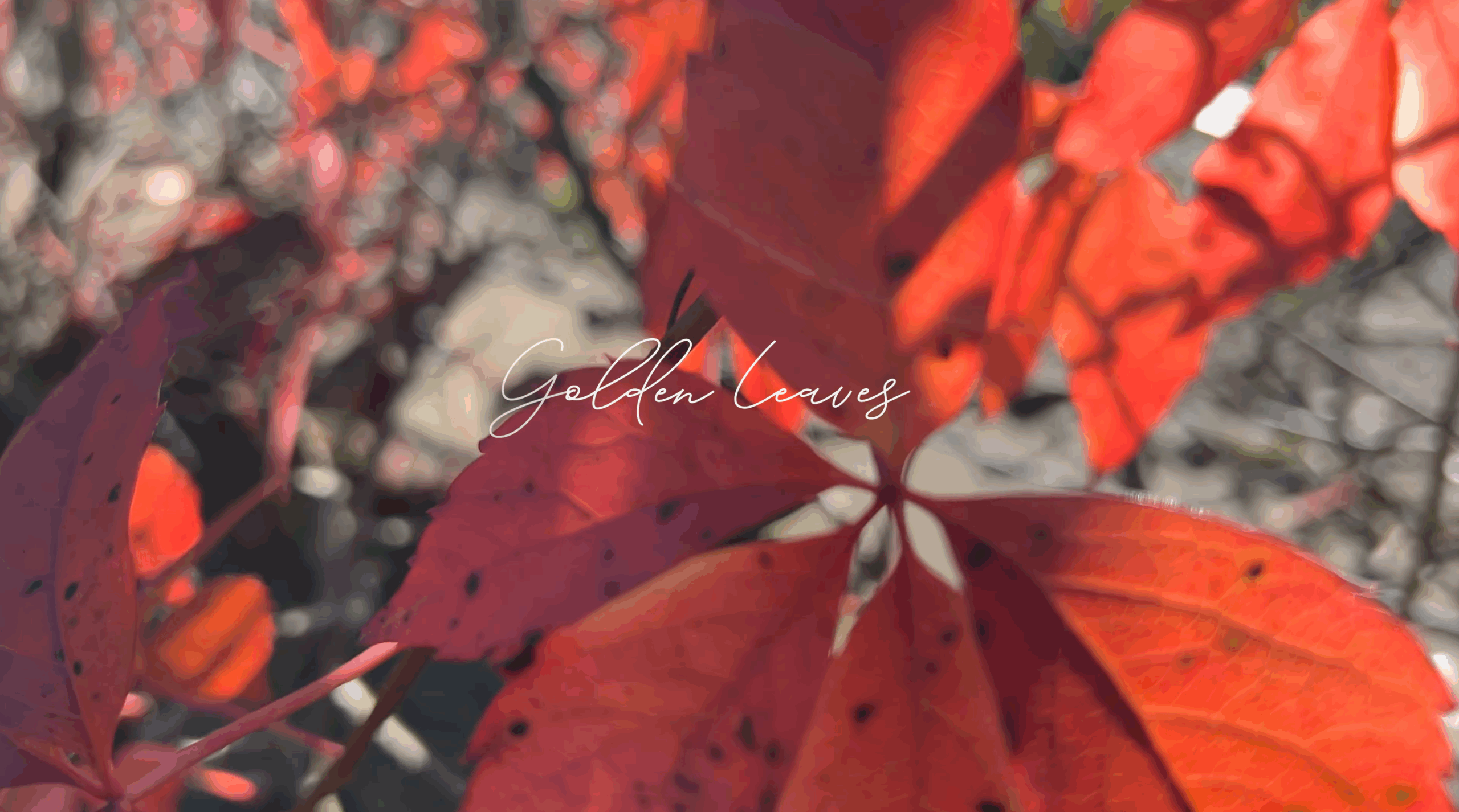 Medienproduktion Nuthe-Urstromtal