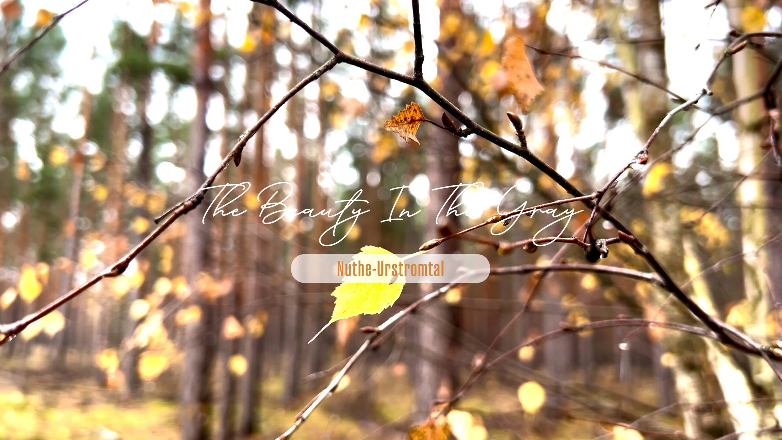 medienproduktion nuthe-urstromtal