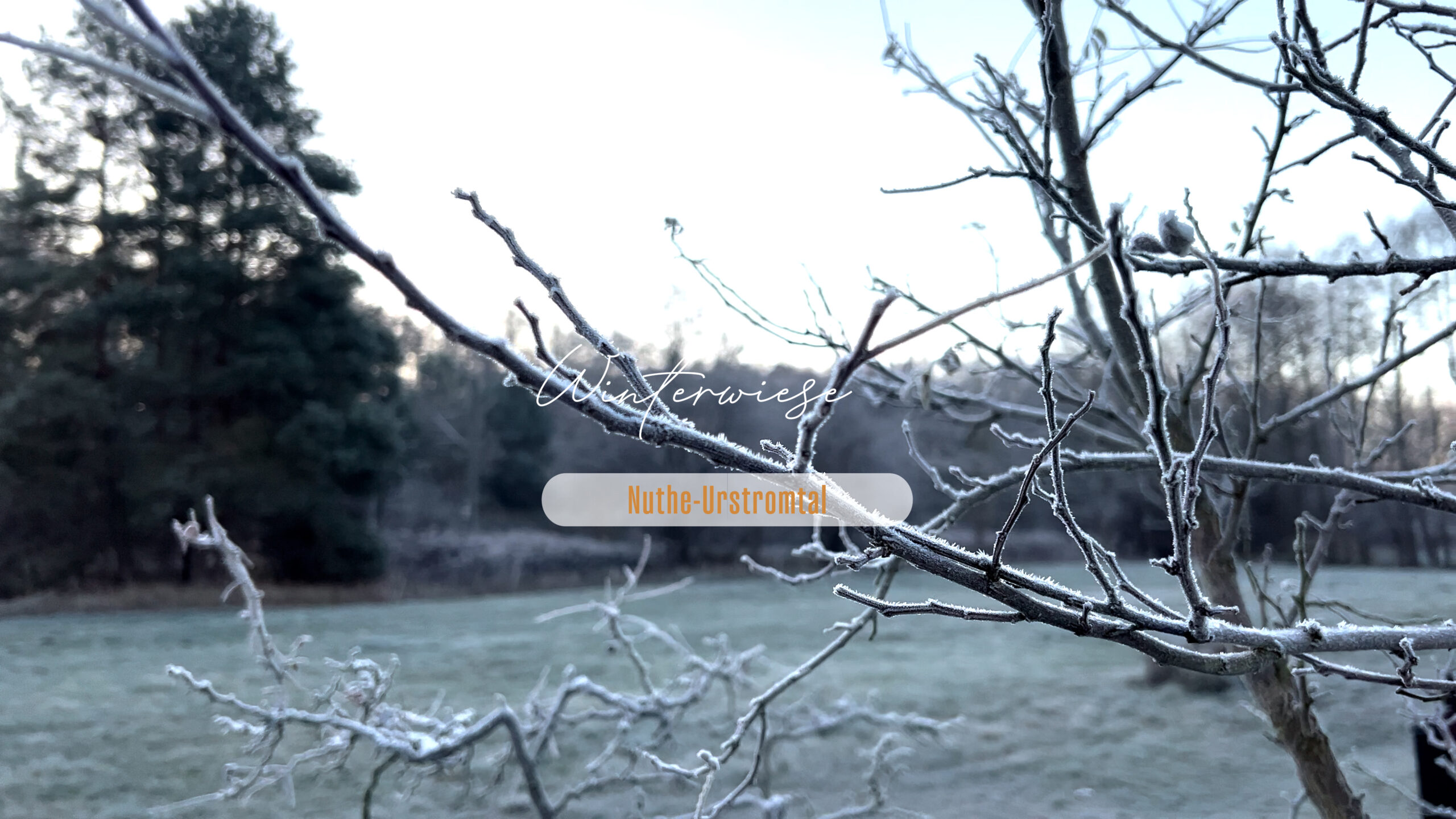 Winterwiese Videoproduktion Nuthe-Urstromtal