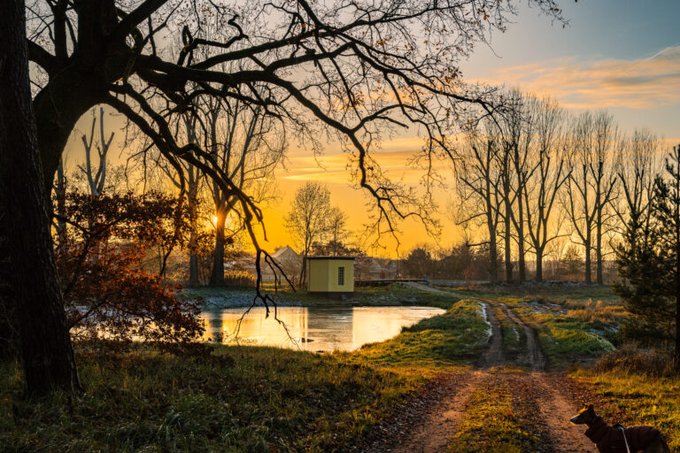 winterliche landschaften in nuthe-urstromtal zur goldenen stunde