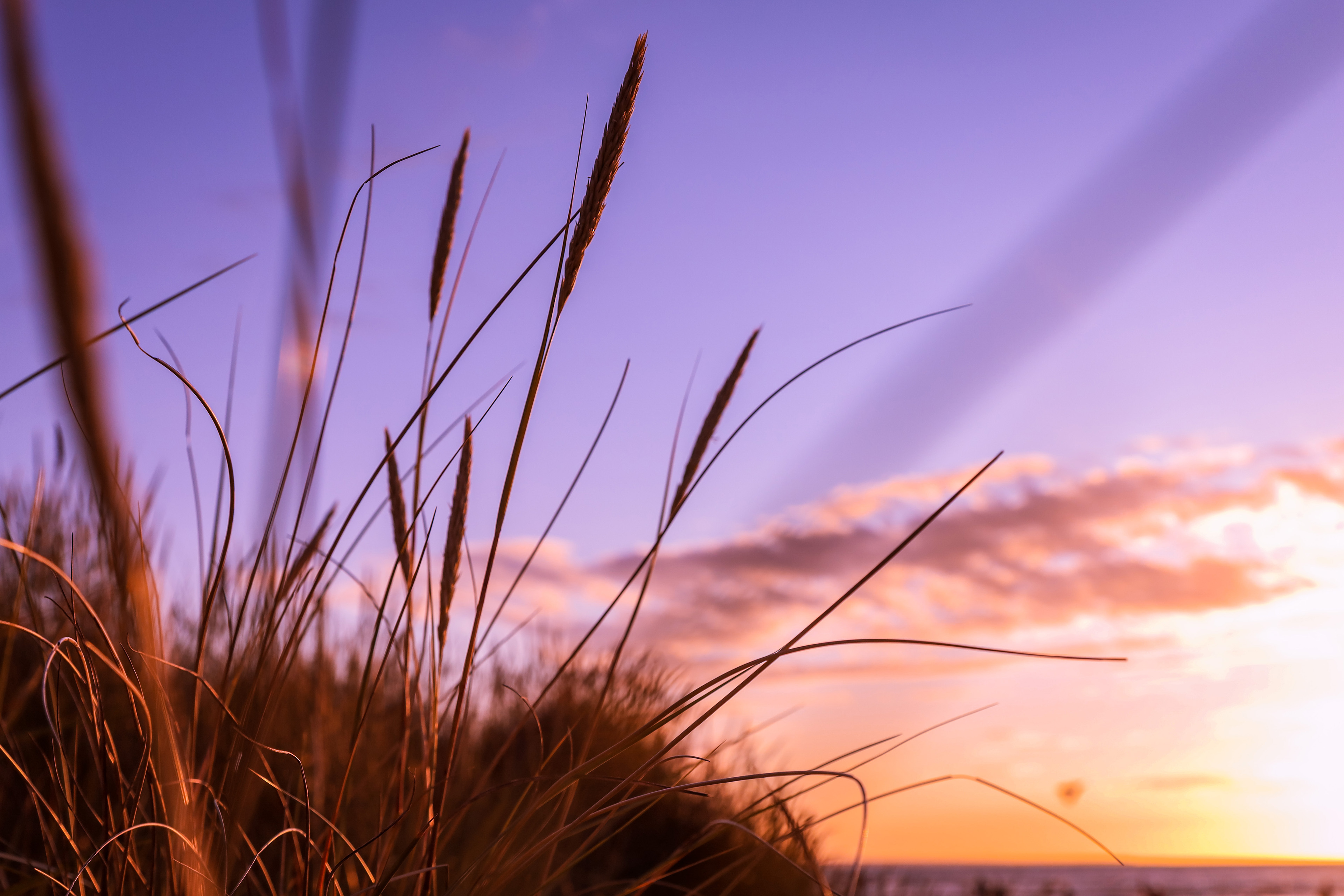 Sonnenuntergang bei Zingst