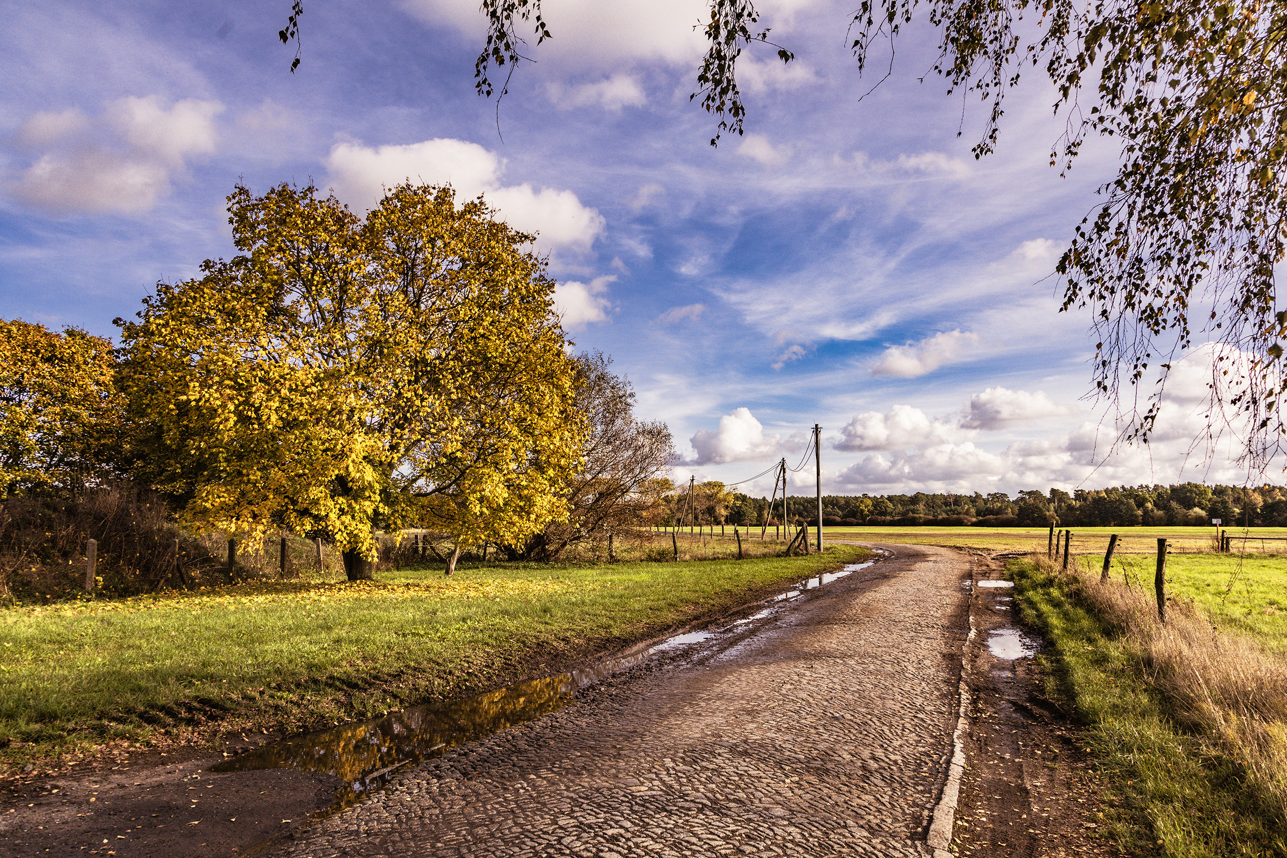 Herbstliches Ruhlsdorf