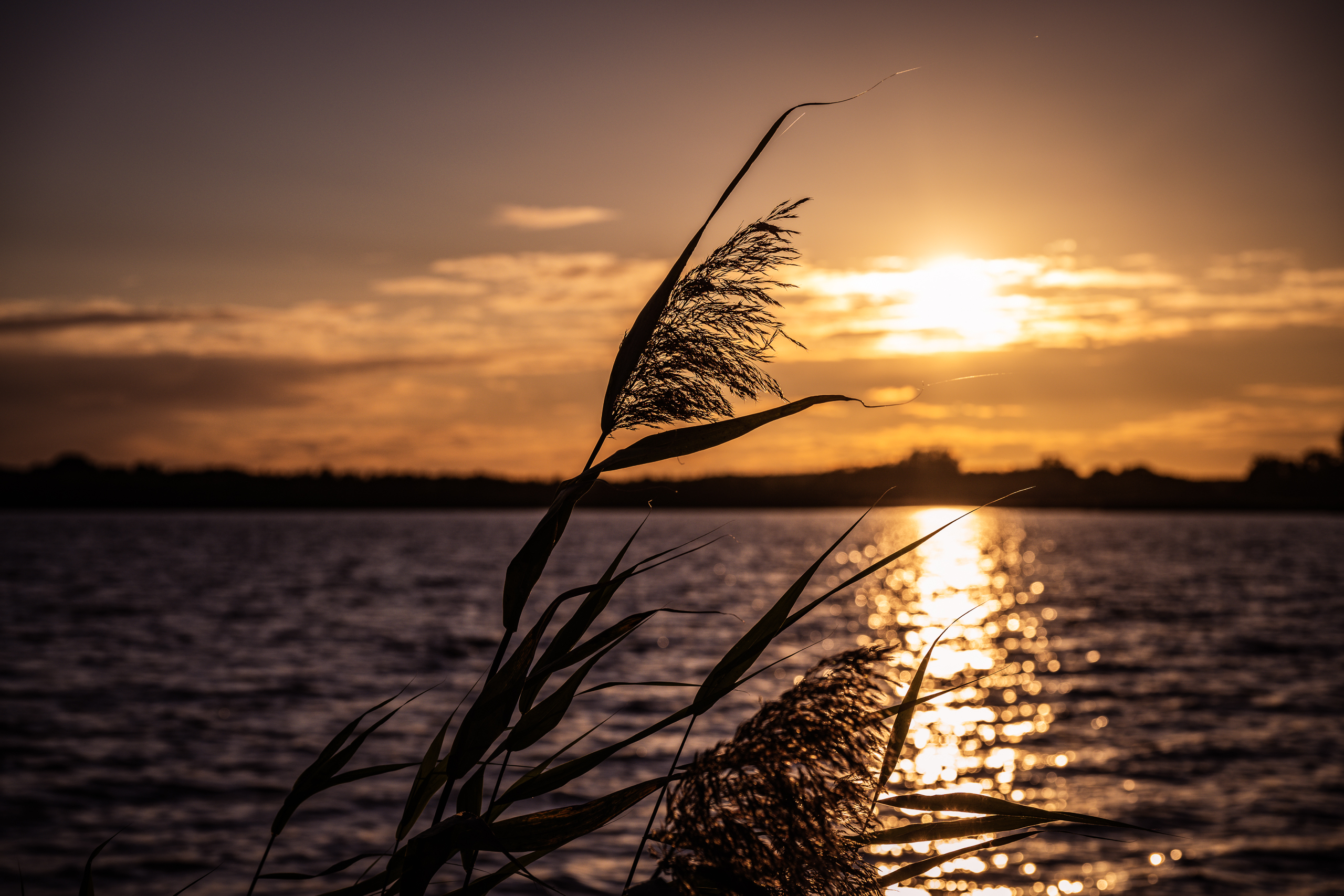 Blankensee Sonnenuntergang
